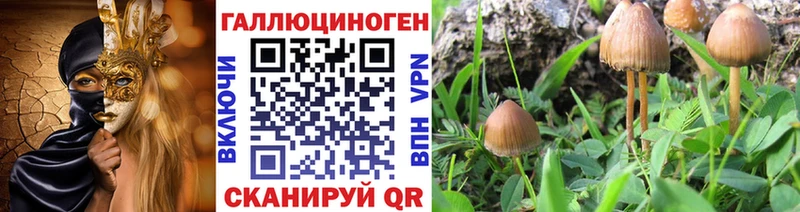 как найти закладки  Усть-Илимск  Псилоцибиновые грибы Magic Shrooms 